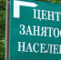 Более 3,5 тысяч человек обратились в Королёвский центр занятости с начала года - Администрация г. Королёв