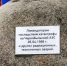 AEA4A21B-97AC-40E0-8065-DDD488F9CC21.jpeg - Газета Спутник