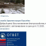 Озеленение борщевиком - Честный Королёв