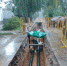 92EB2FEF-4653-416F-B201-A8898104BB7D.jpeg - Газета Спутник