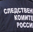 Проверка назначена после травмирования девочки в Королеве - KorolevRIAMO.Ru