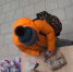 Сотрудники пункта выдачи в Королеве поймали женщину на краже - Regions.Ru