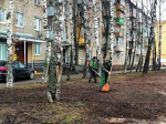 Фото: пресс-служба Администрации городского округа Королев