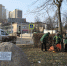 Почти 500 кубометров мусора вывезли с улиц Королева в ходе весеннего субботника - Regions.Ru