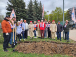 Королевцы высадили на общегородском субботнике больше 200 растений