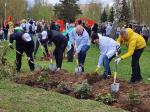 Королевцы высадили на общегородском субботнике больше 200 растений