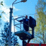 На каких улицах установят новое освещение - Regions.Ru
