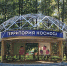 Спортивные турниры, танцы и кинопоказ: куда сходить 28 сентября - Regions.Ru