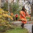 Более 250 кубометров мусора убрали с улиц Королёва во время осеннего субботника - Администрация г. Королёв