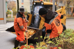 В Королёве пройдет общегородской субботник